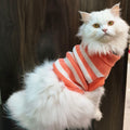 Pet Sweater Winter Knitwear