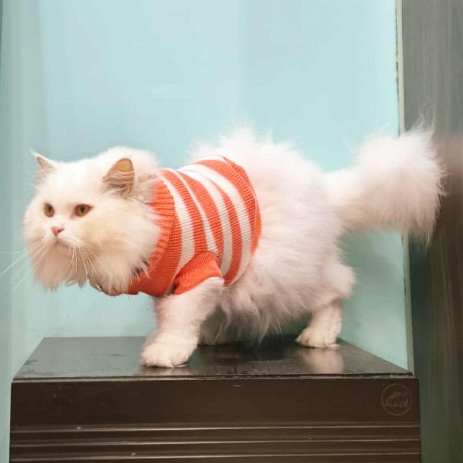 Pet Sweater Winter Knitwear