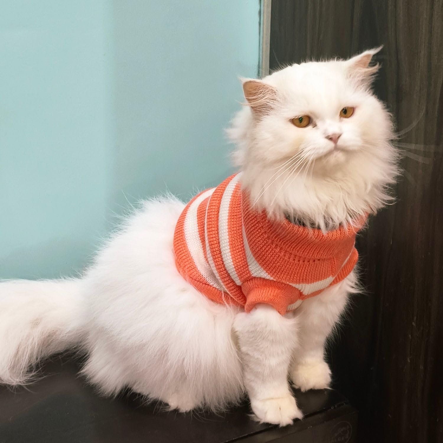 Pet Sweater Winter Knitwear