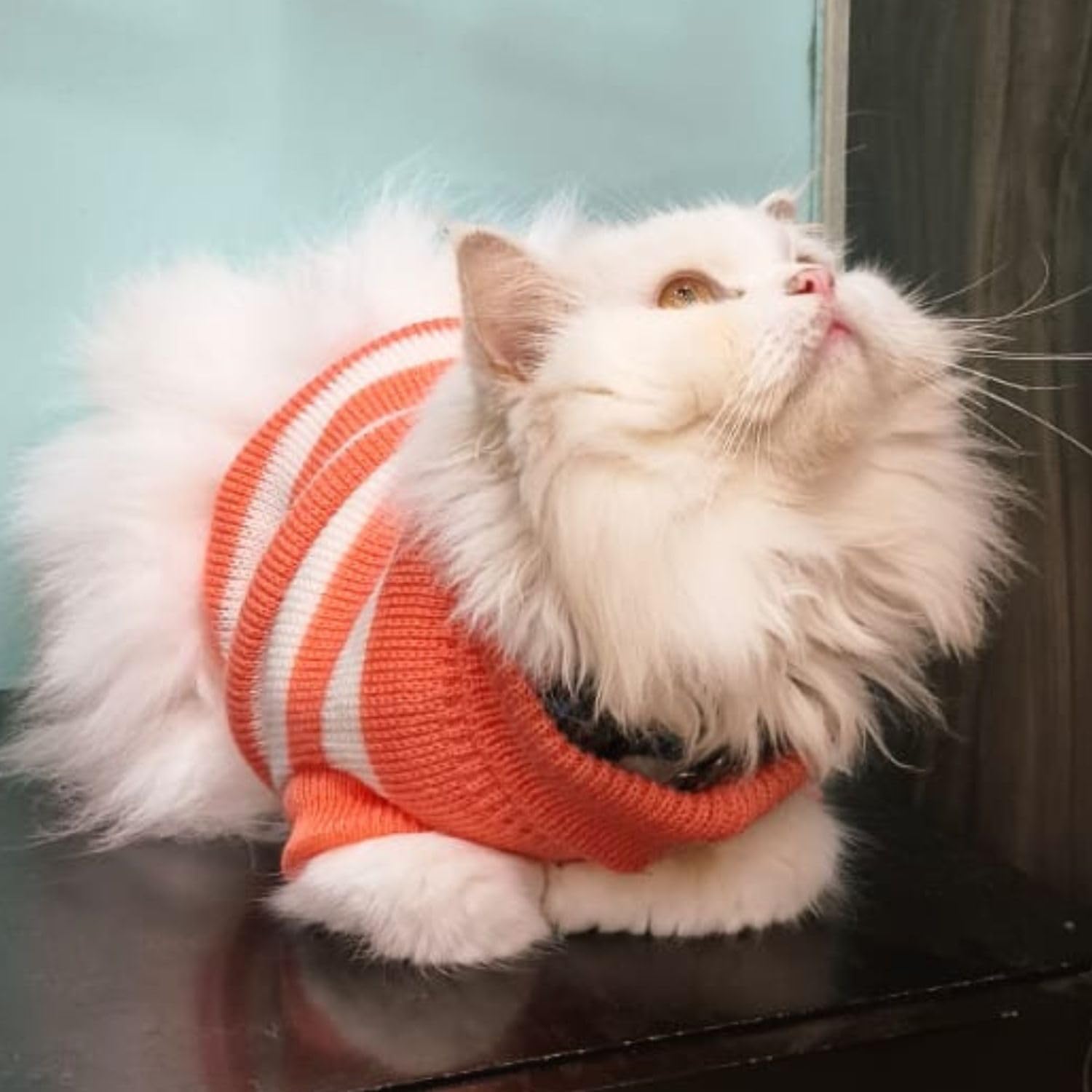 Pet Sweater Winter Knitwear