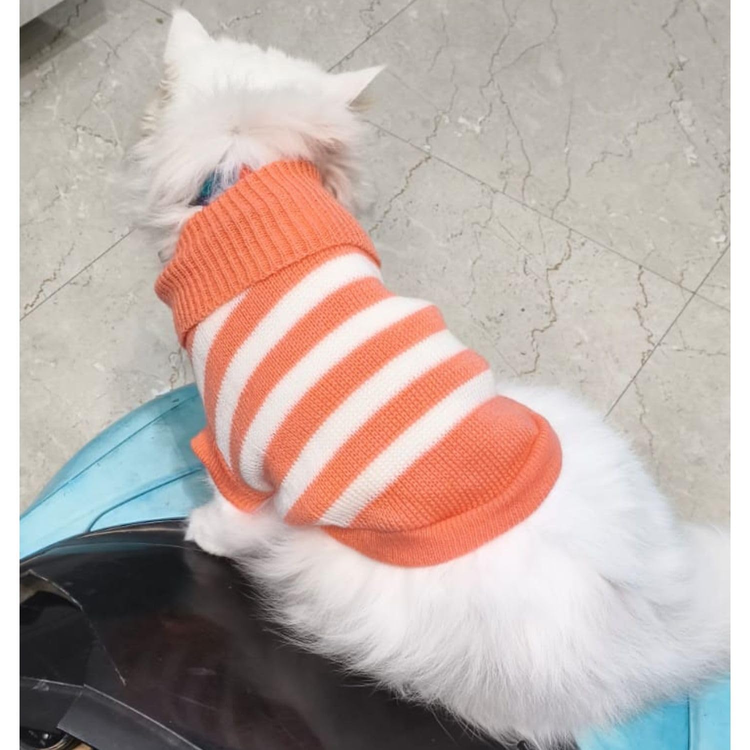 Pet Sweater Winter Knitwear