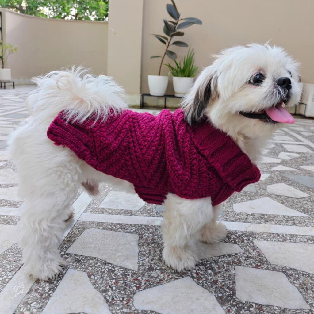 Dog Sweater for Small Dogs