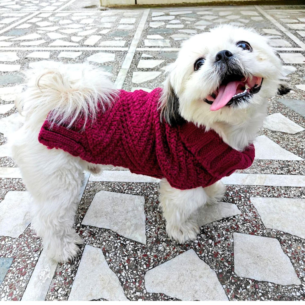 Dog Sweater for Small Dogs