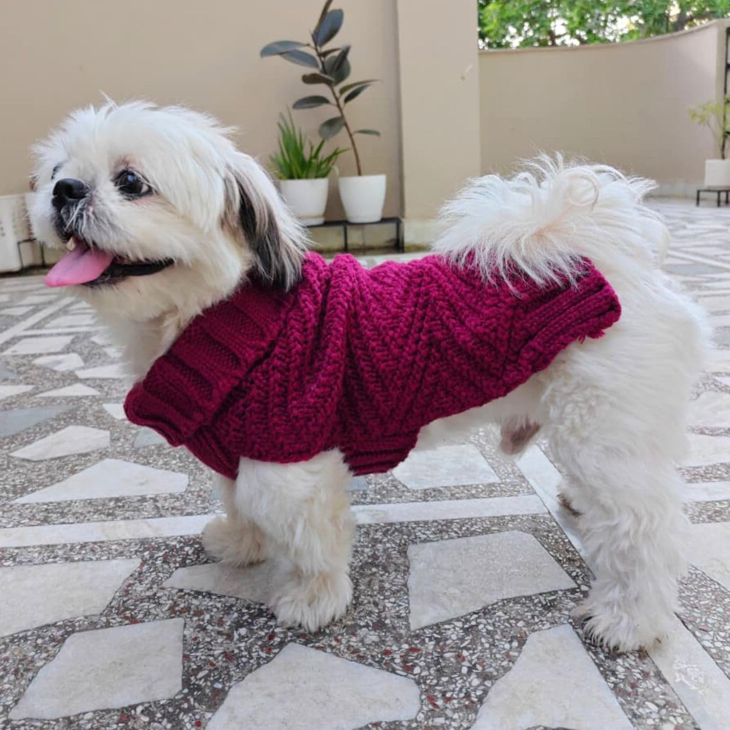 Dog Sweater for Small Dogs