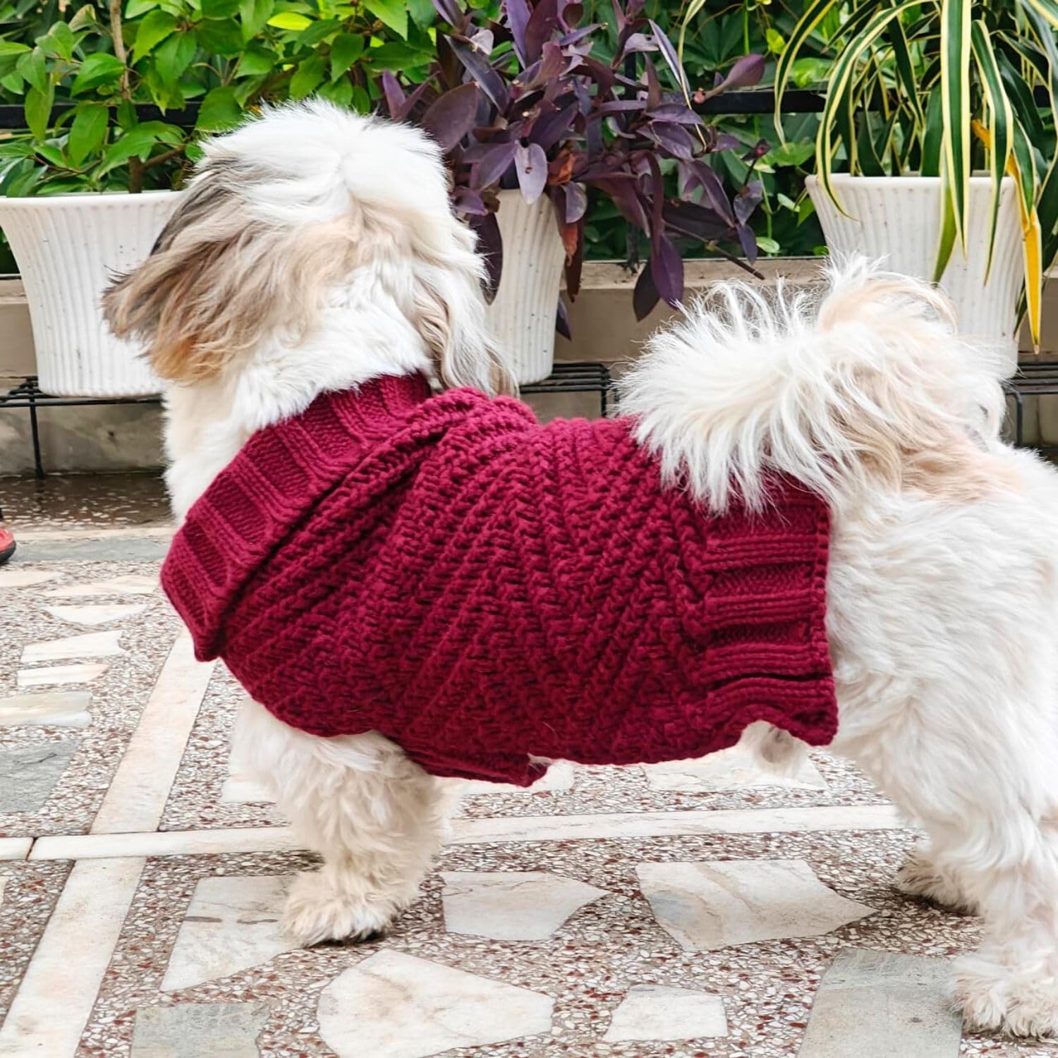 Dog Sweater for Small Dogs