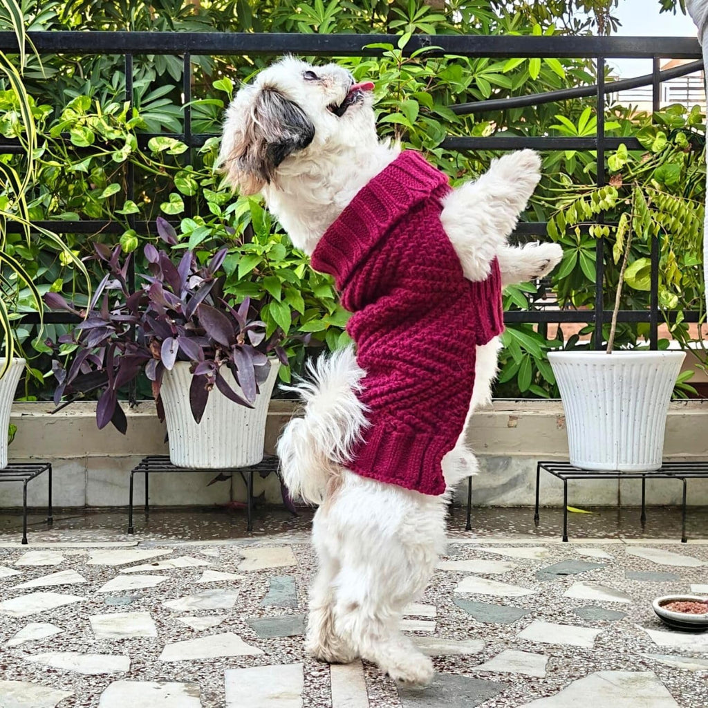 Dog Sweater for Small Dogs