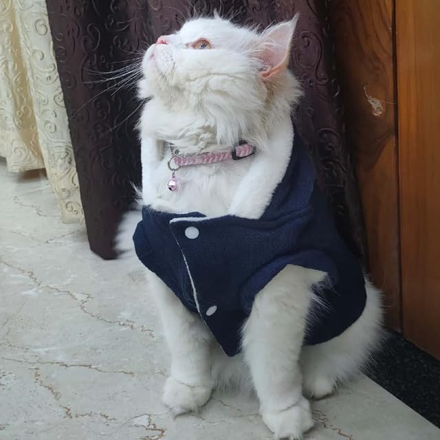 Winter Sweater for Small Size Pets