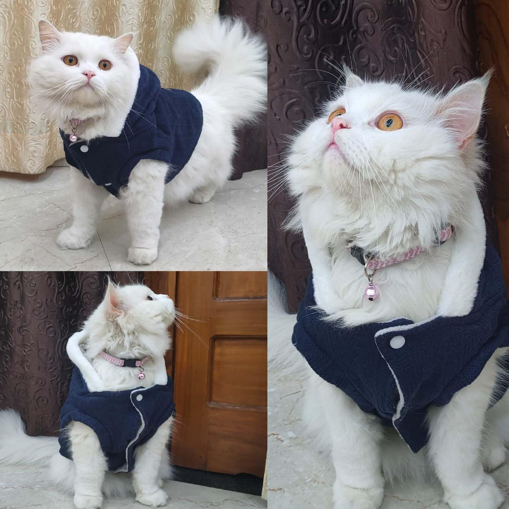 Winter Sweater for Small Size Pets