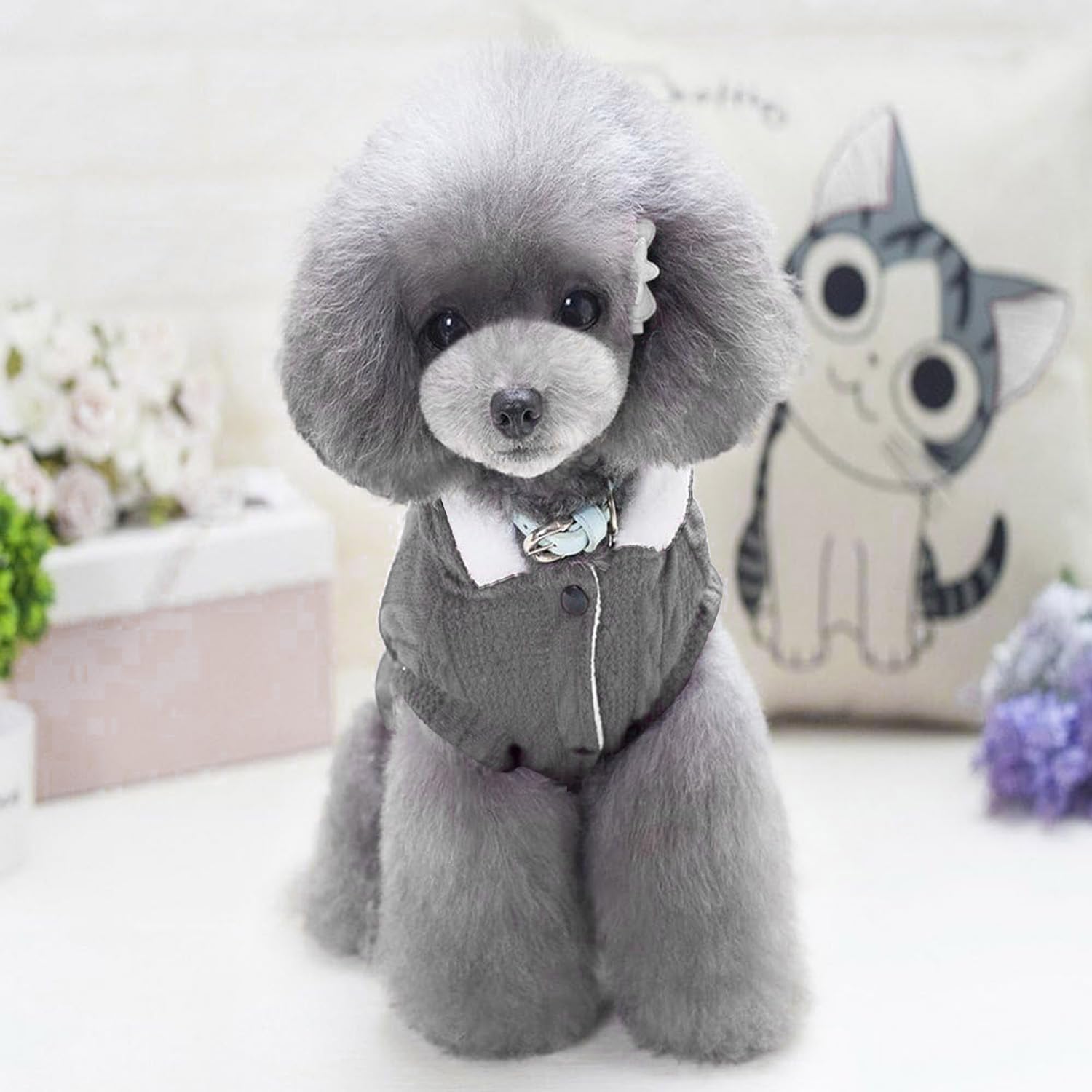 Dog Hoodie Sweater for Winters