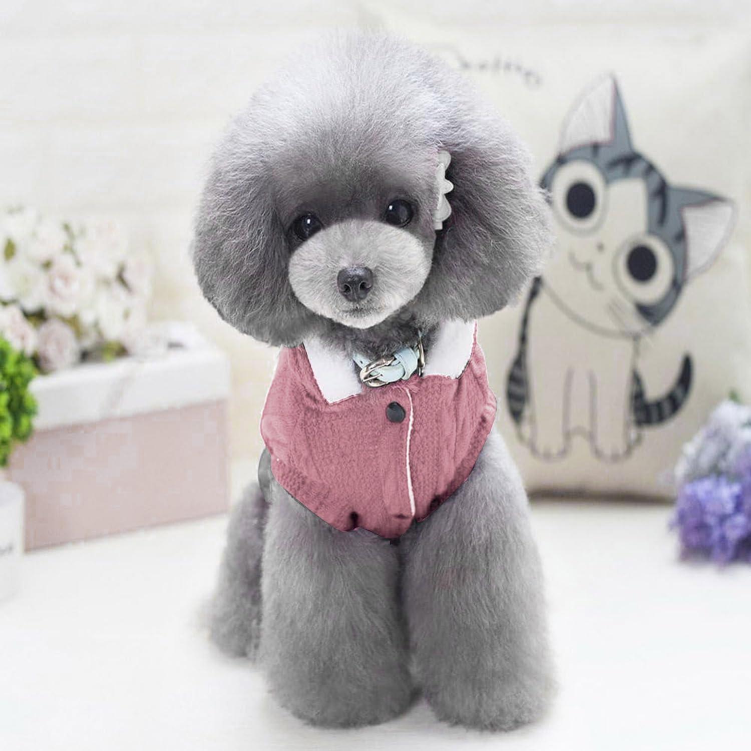 Sweaters for Small Dogs & Cats