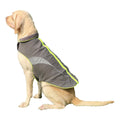 Winter Coat, Waterproof Dog Jacket