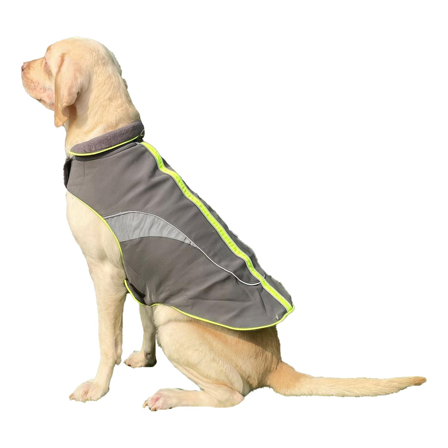 Winter Coat, Waterproof Dog Jacket