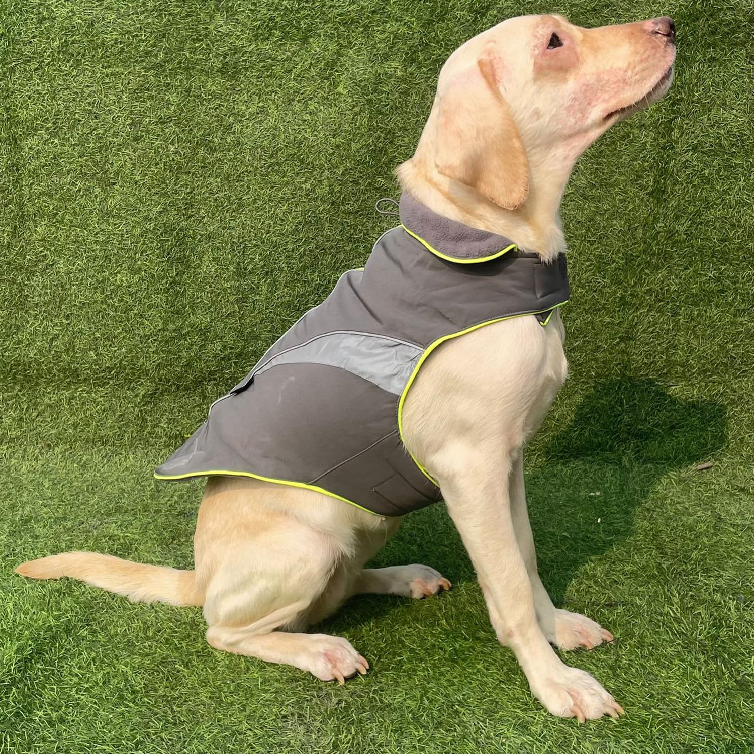 Winter Coat, Waterproof Dog Jacket