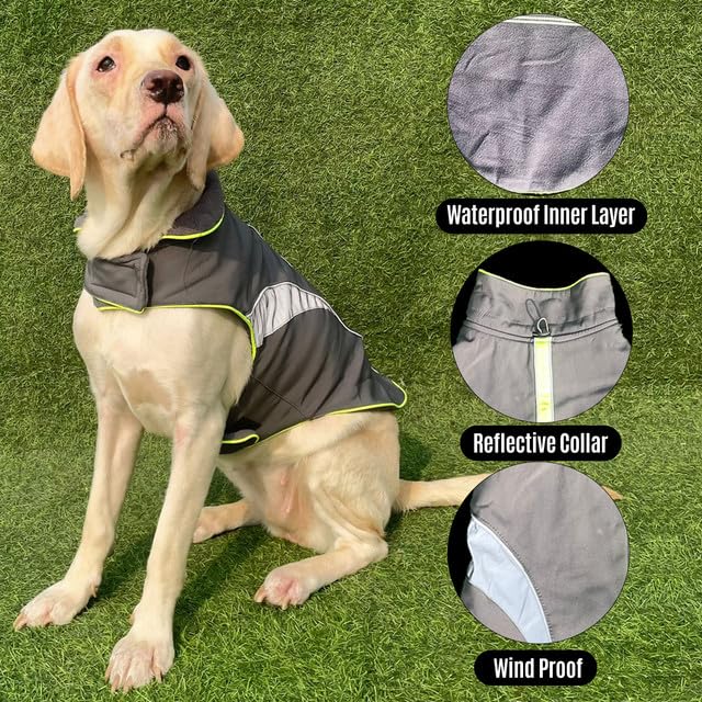 Winter Coat, Waterproof Dog Jacket