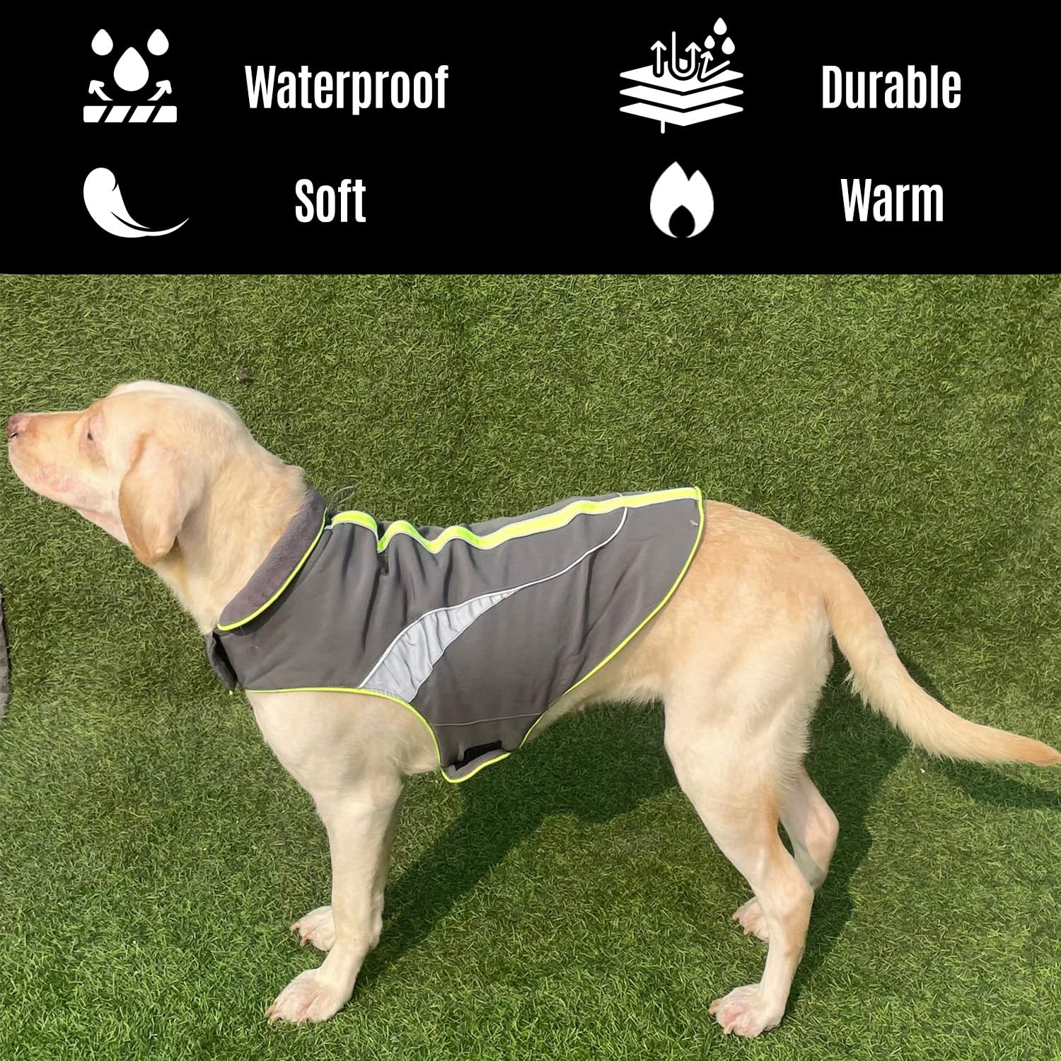 Winter Coat, Waterproof Dog Jacket