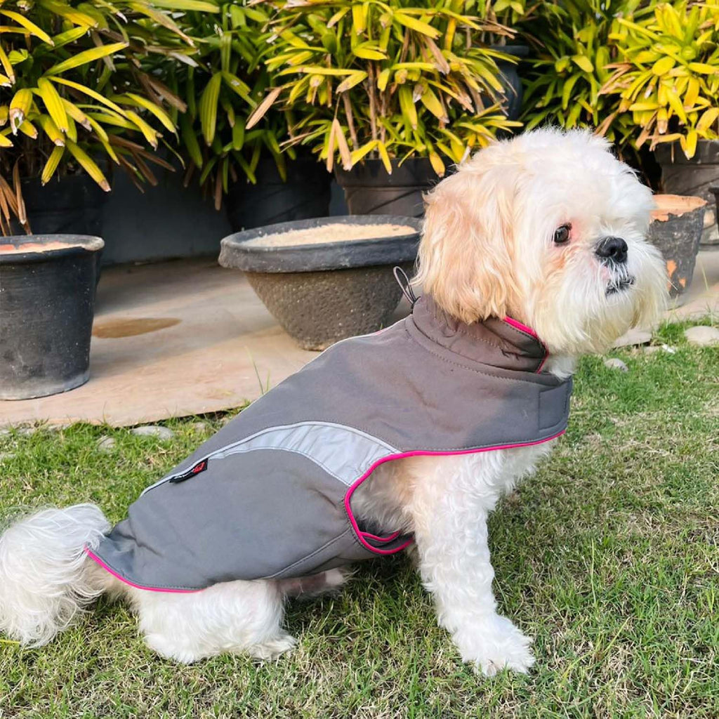 Winter Dog Jacket, Hooded Pet Coat
