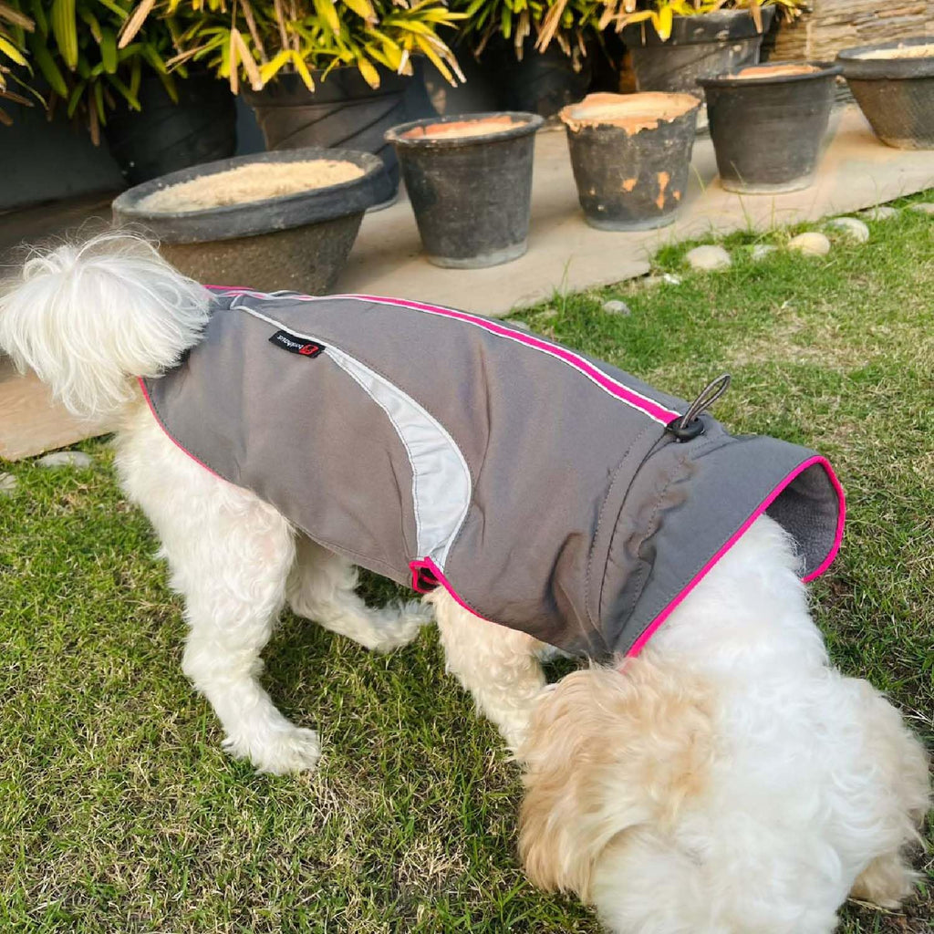 Winter Dog Jacket, Hooded Pet Coat