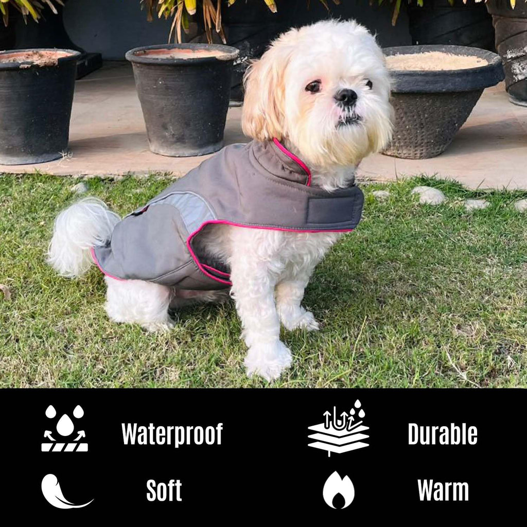 Winter Dog Jacket, Hooded Pet Coat