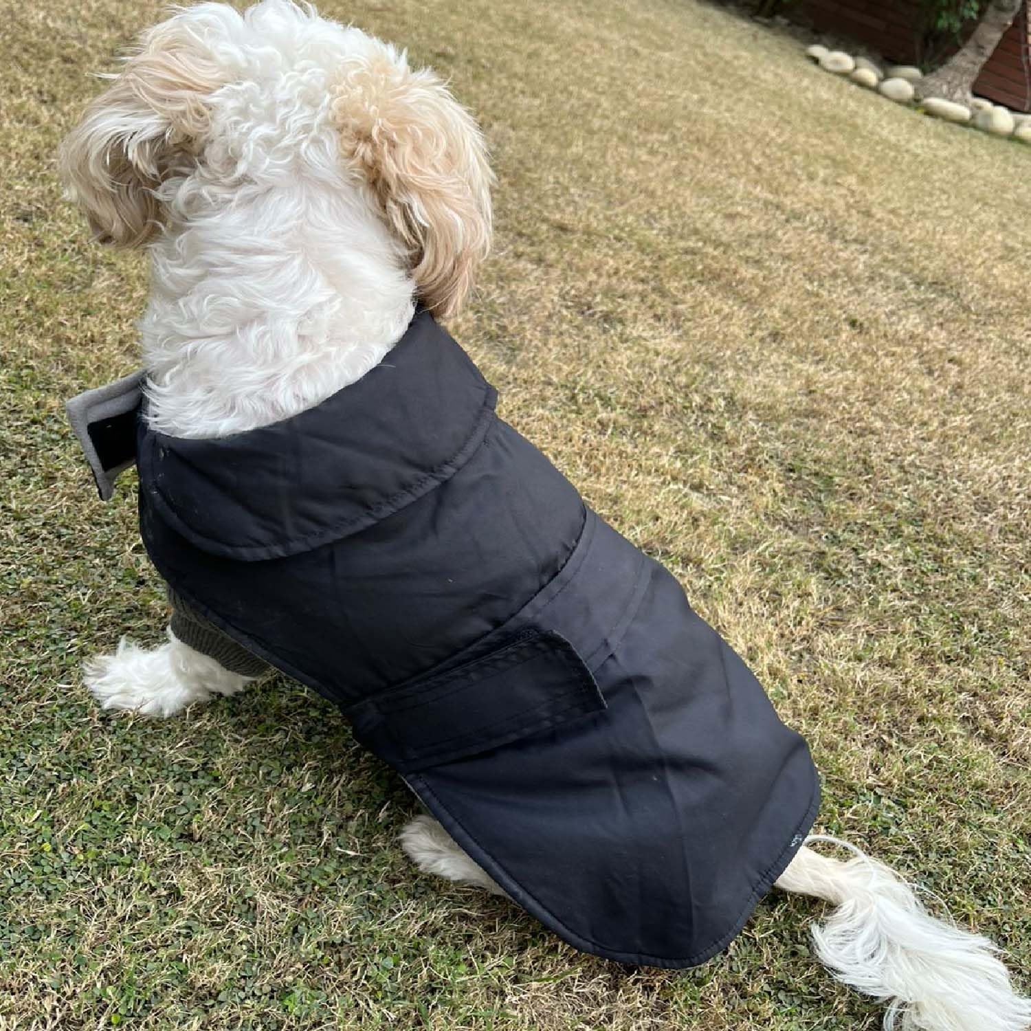 Winter Dog Jacket, Hooded Pet Coat