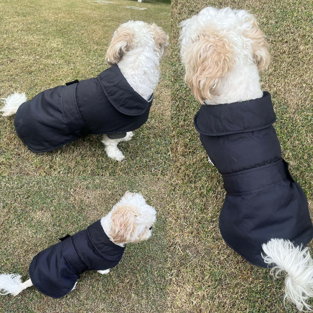 Winter Dog Jacket, Hooded Pet Coat