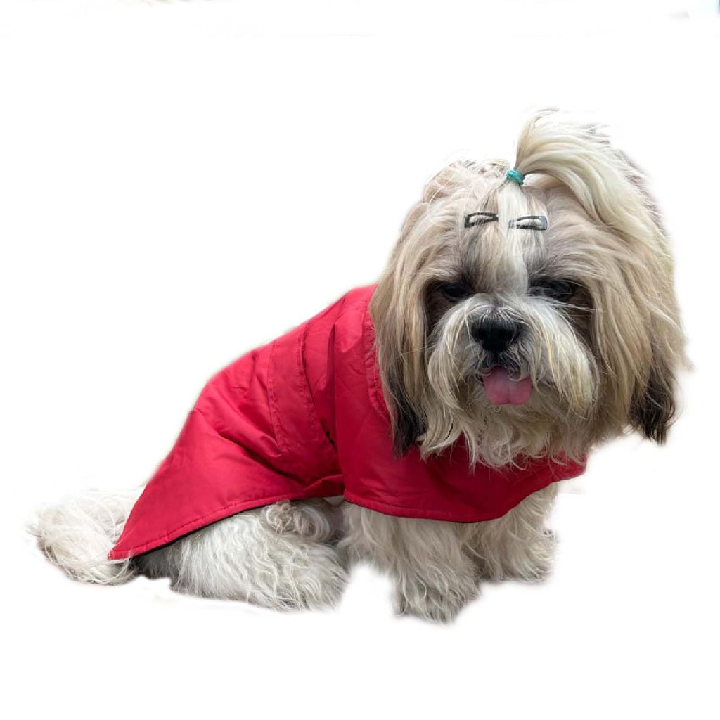 Winter Dog Jacket, Hooded Pet Coat