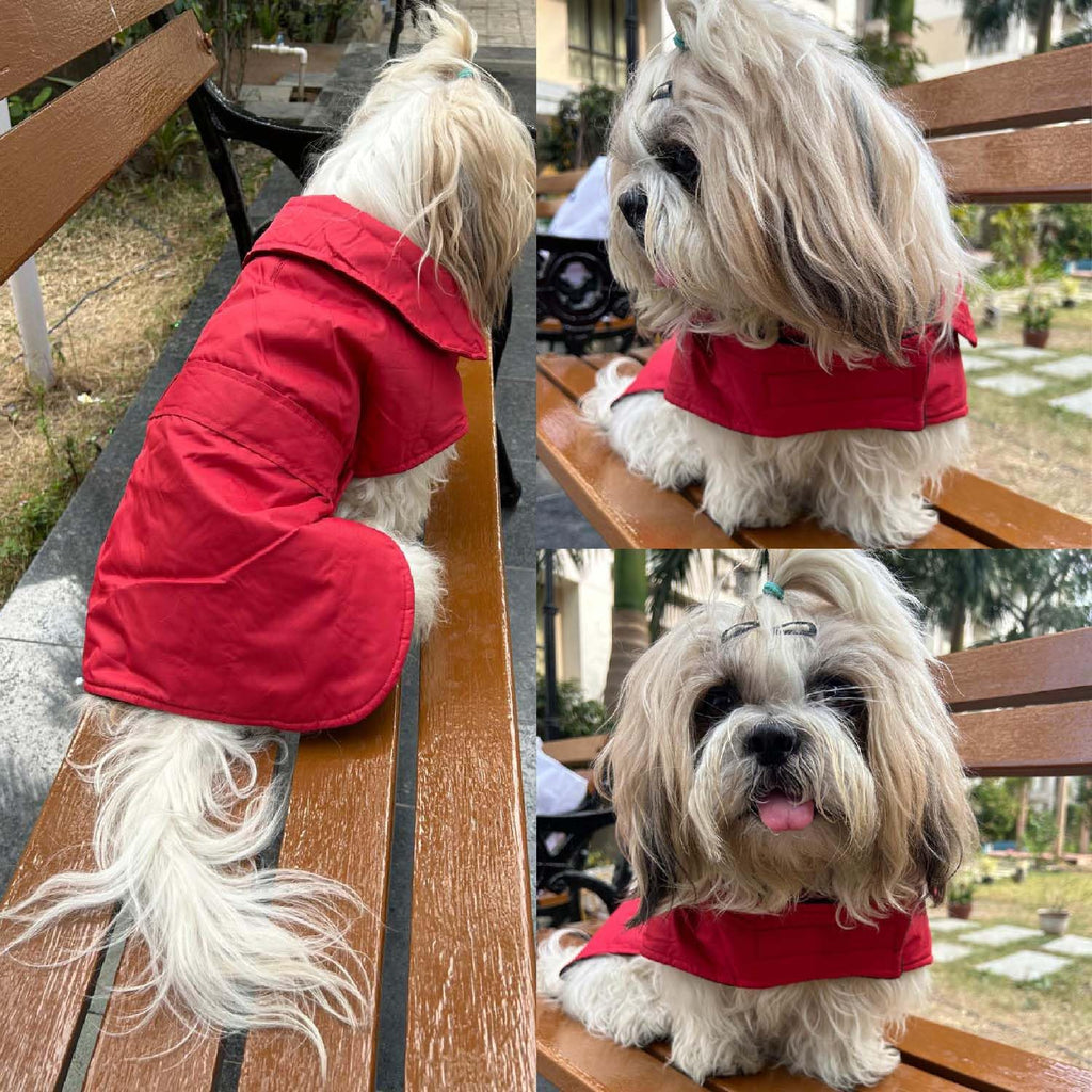 Winter Dog Jacket, Hooded Pet Coat