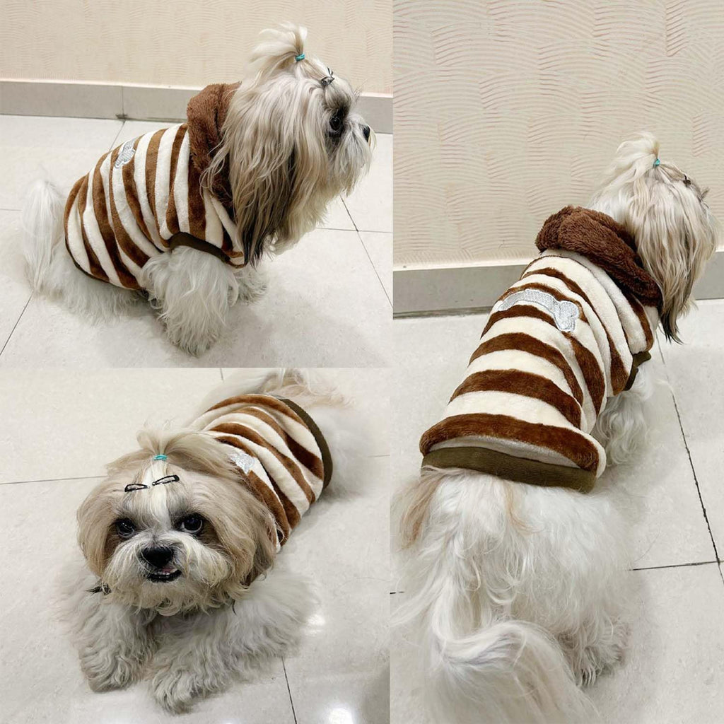 Striped Brown and White Dog Sweater