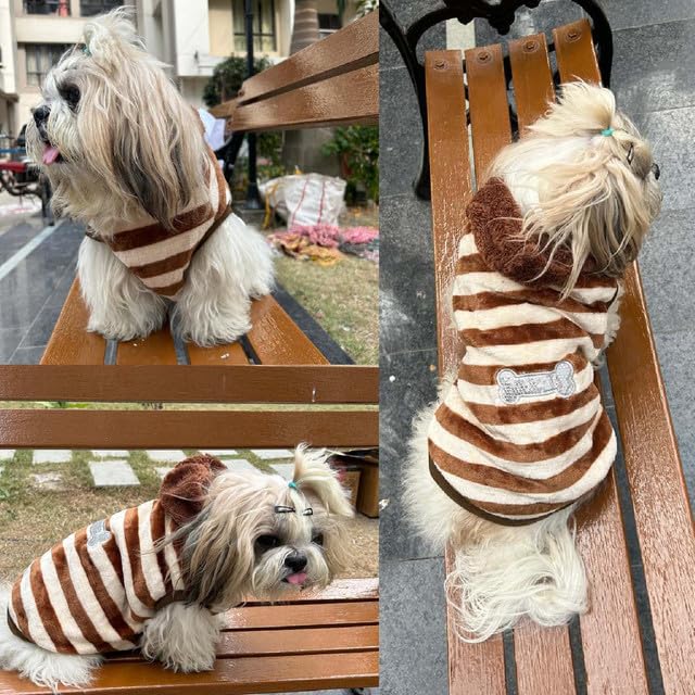 Striped Brown and White Dog Sweater