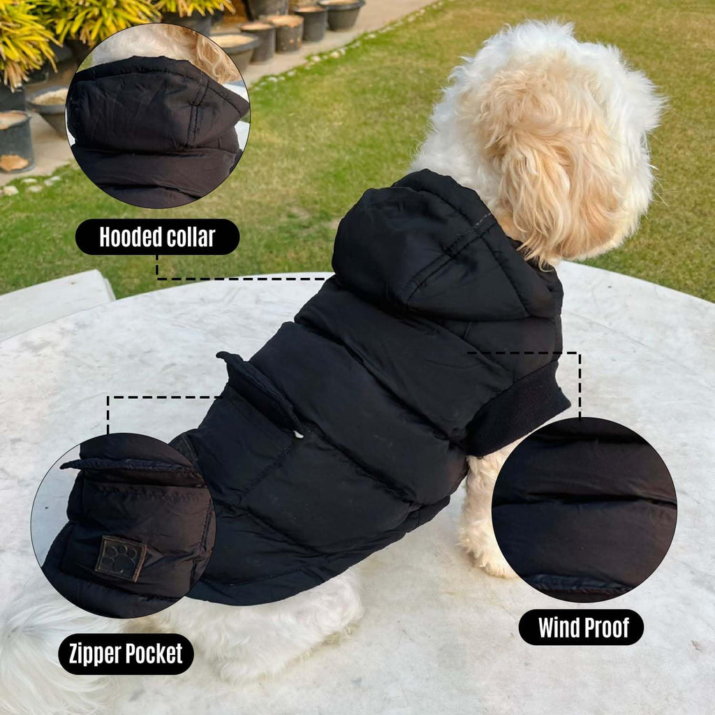 Winter Dog Puffer Jacket