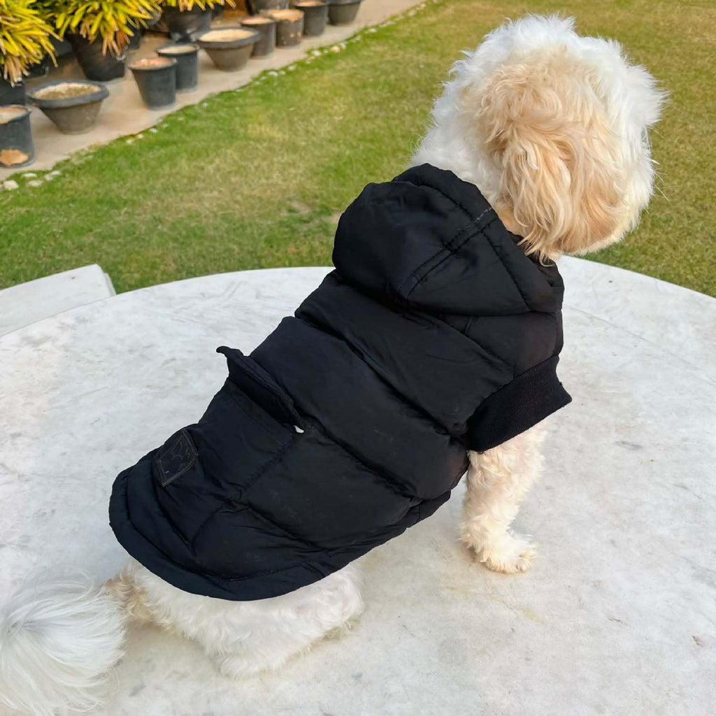 Winter Dog Puffer Jacket