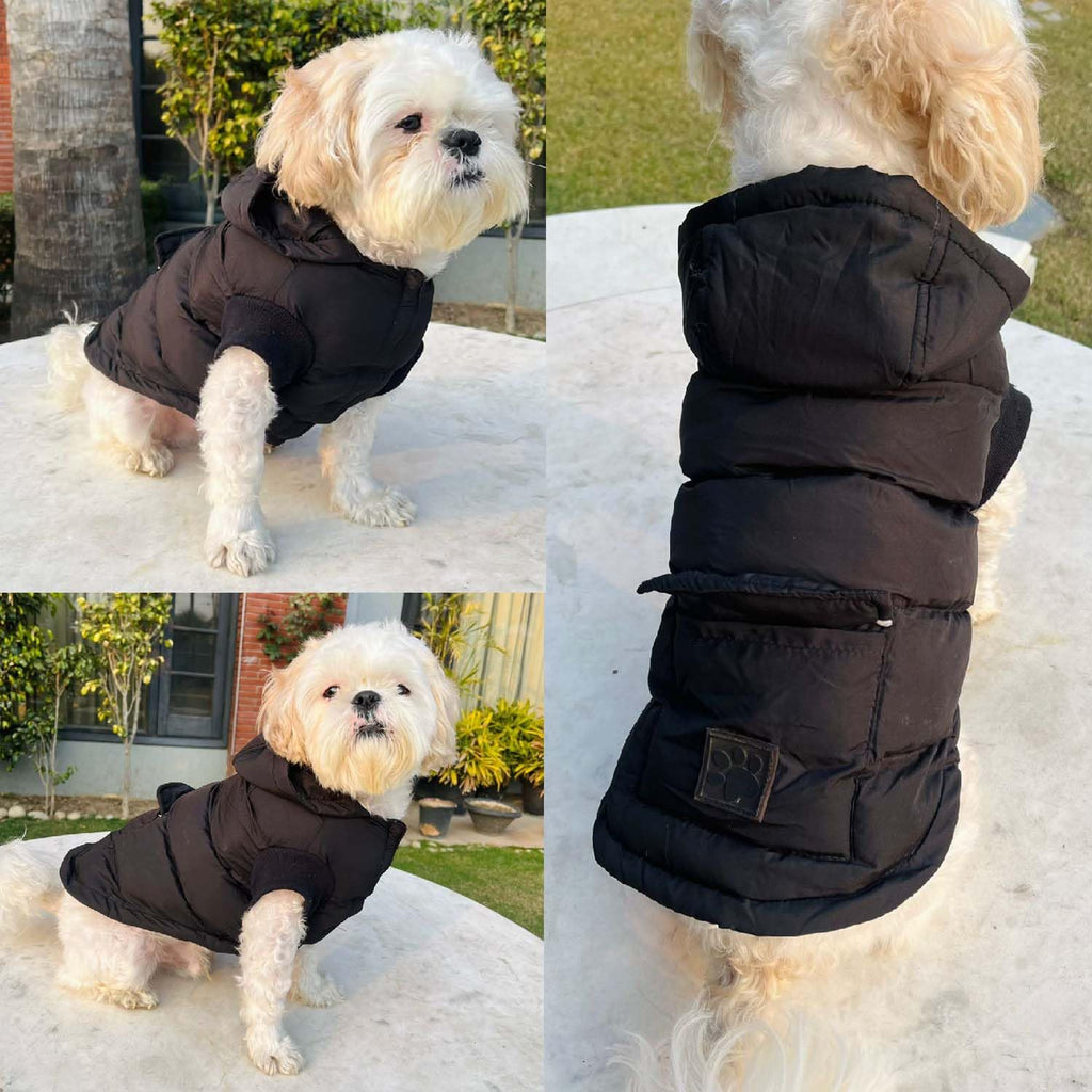 Winter Dog Puffer Jacket