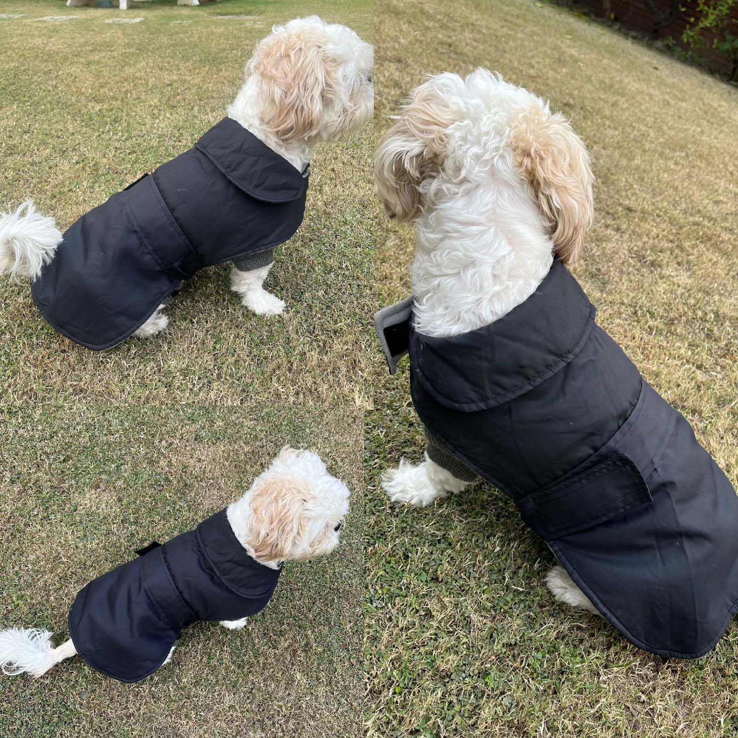 Winter Dog Puffer Jacket