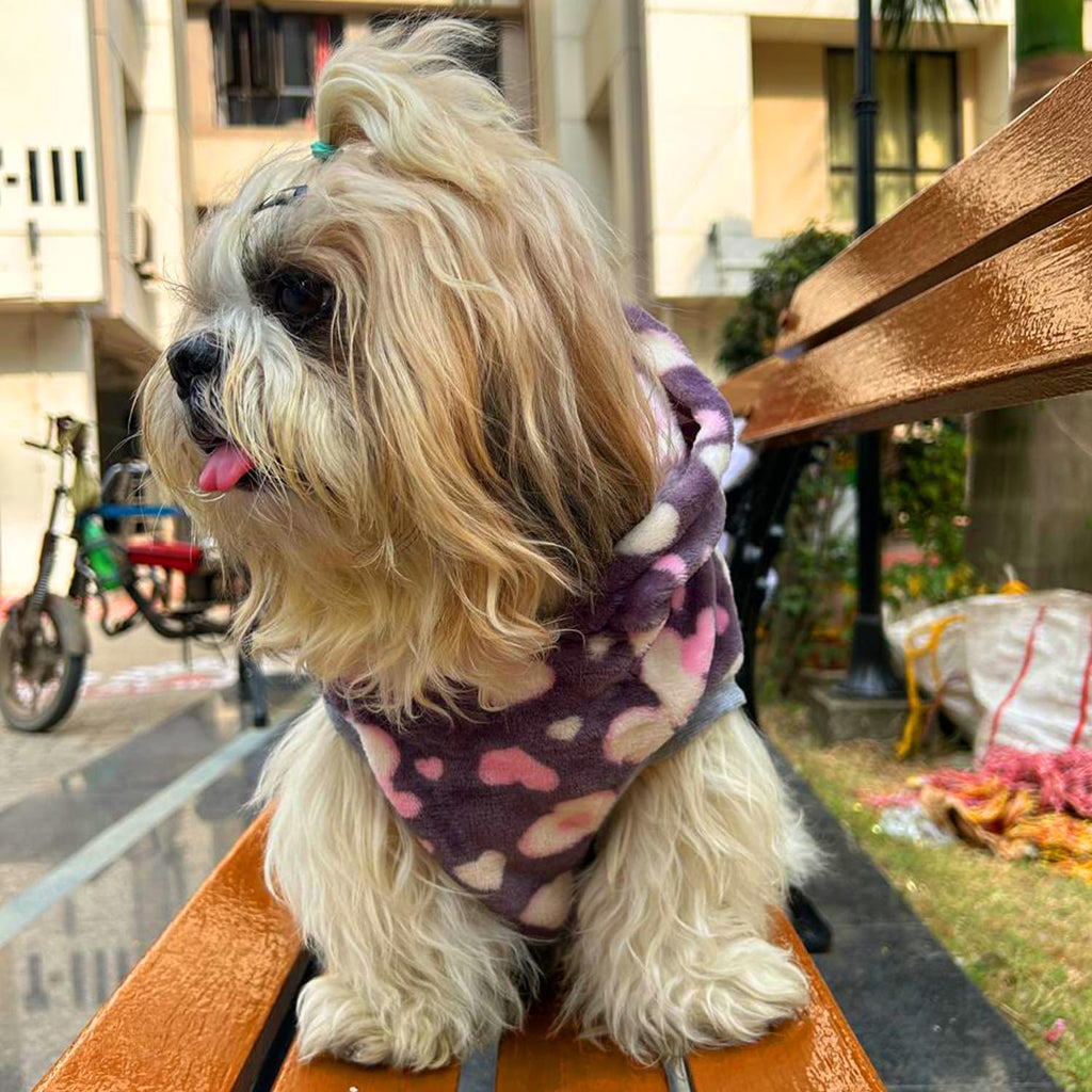 Polka Dot Winter Dog Sweater