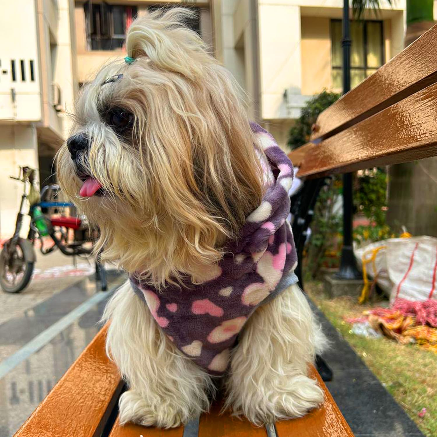 Polka Dot Winter Dog Sweater