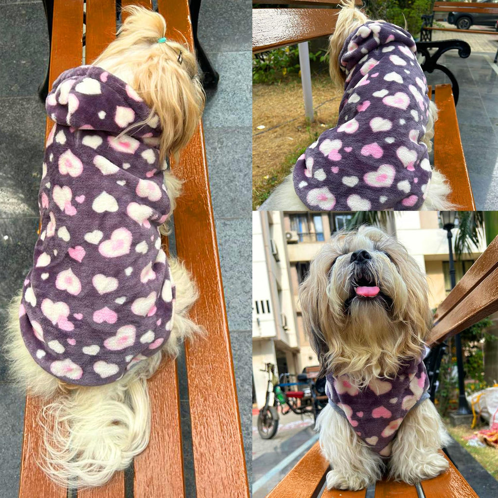 Polka Dot Winter Dog Sweater