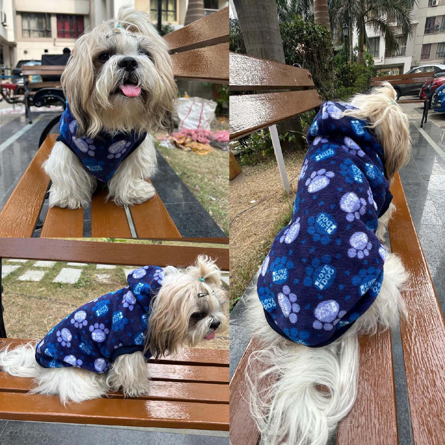 Dog Sweater with Leash Hole