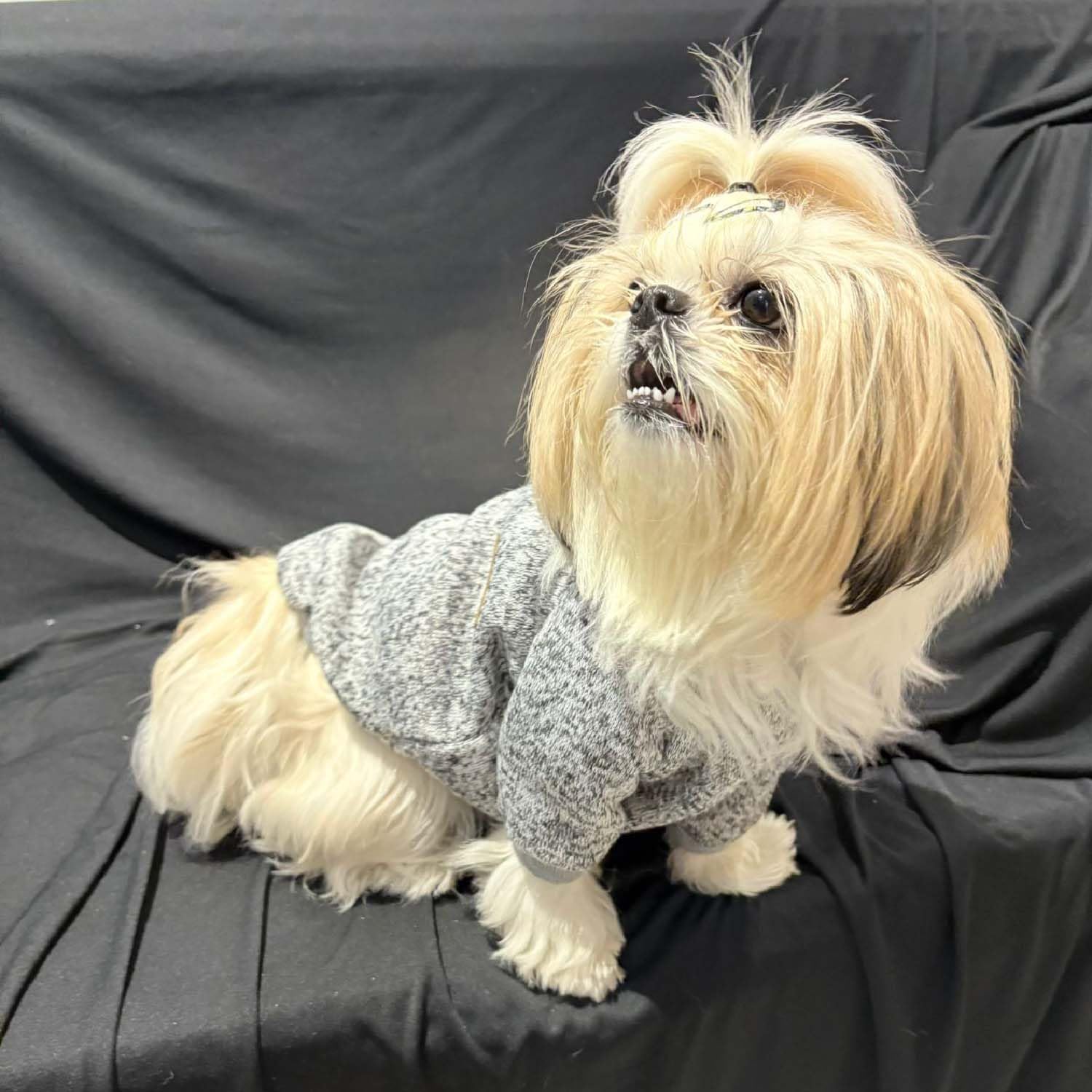 Warm Knit Dog Sweater for all Breeds