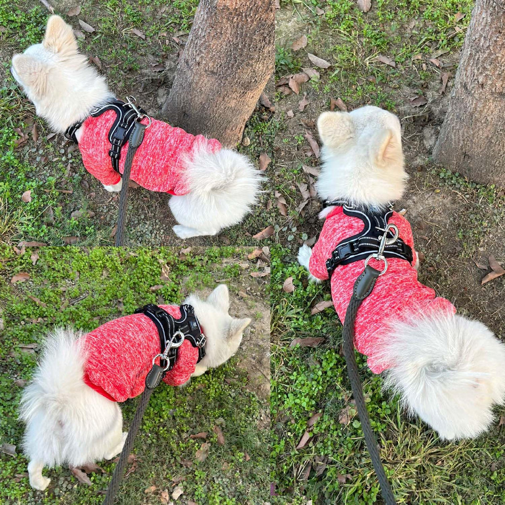 Warm Knit Dog Sweater for all Breeds