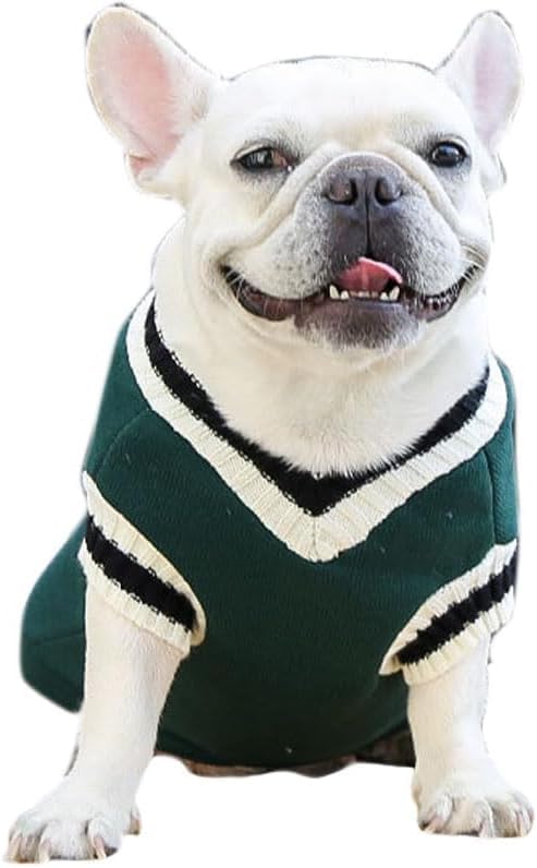 Winter Sweater for Dogs and Cats(Green)