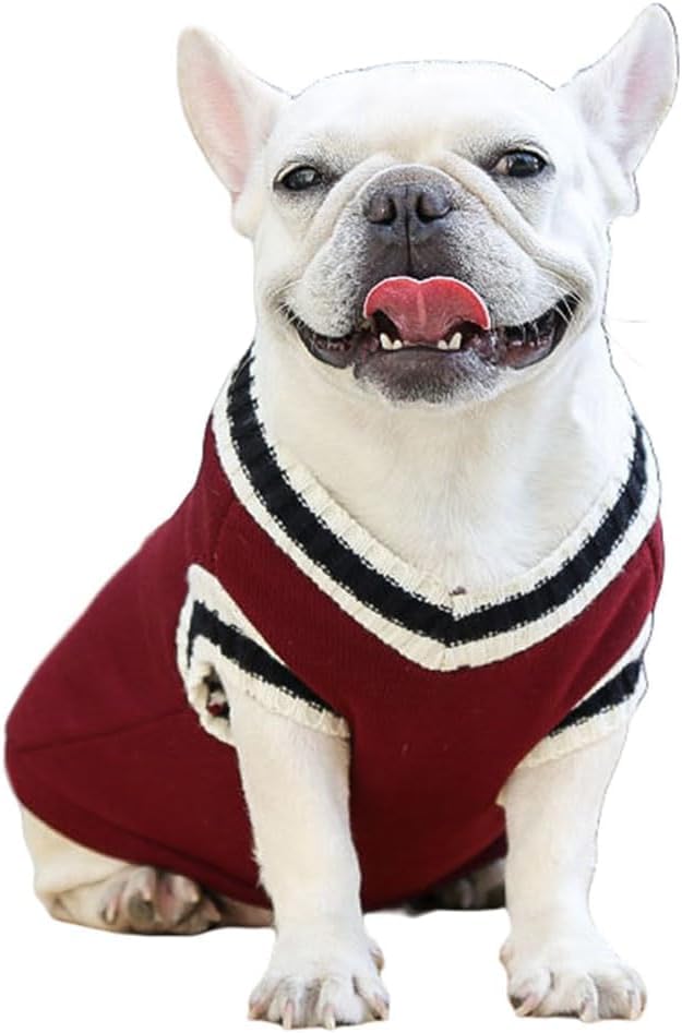 Dog Sweater for Winter Seasons