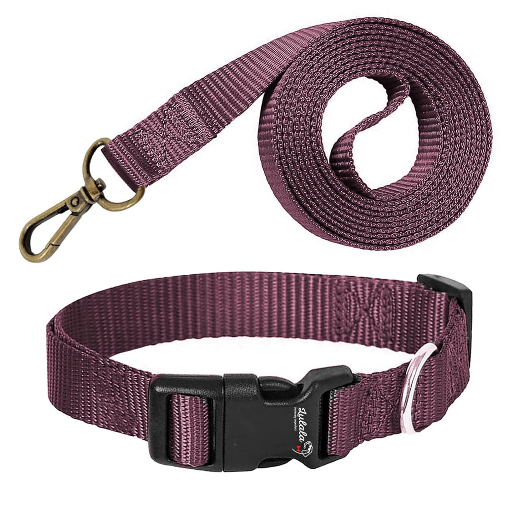Dog Collar and Leash Set, Nylon