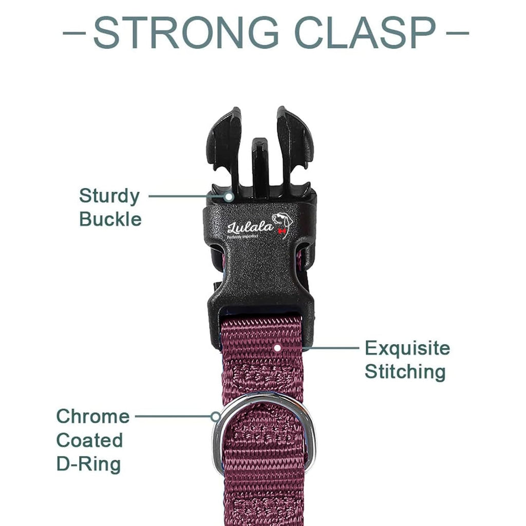 Dog Collar and Leash Set, Nylon