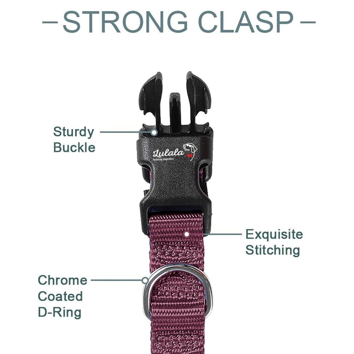 Dog Collar and Leash Set, Nylon