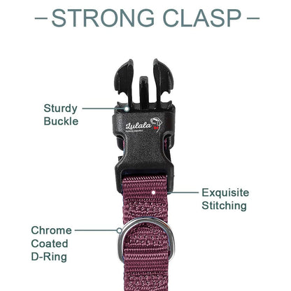 Dog Collar and Leash Set, Nylon