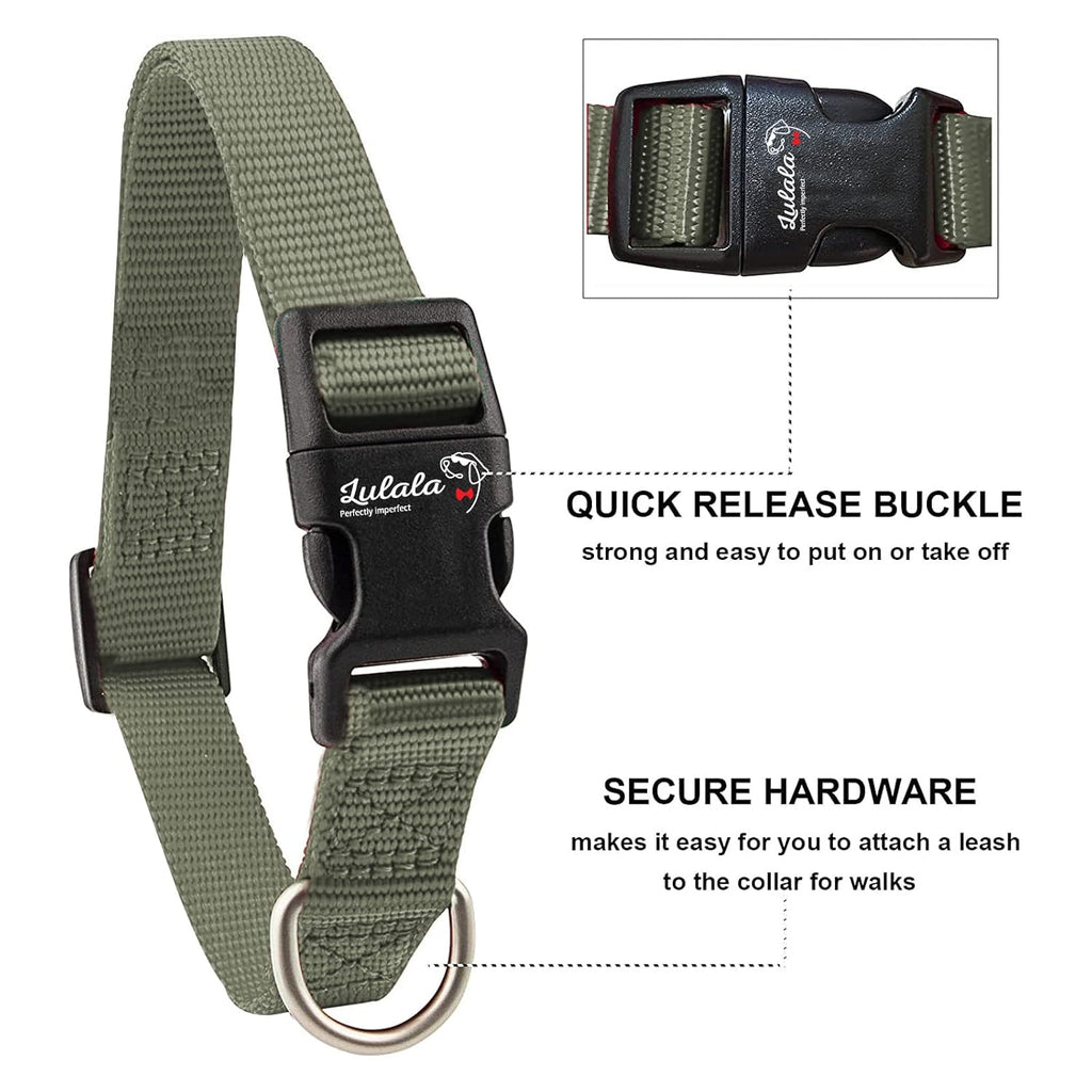 Adjustable Dog Collar and Leash Set