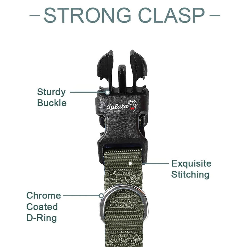 Adjustable Dog Collar and Leash Set