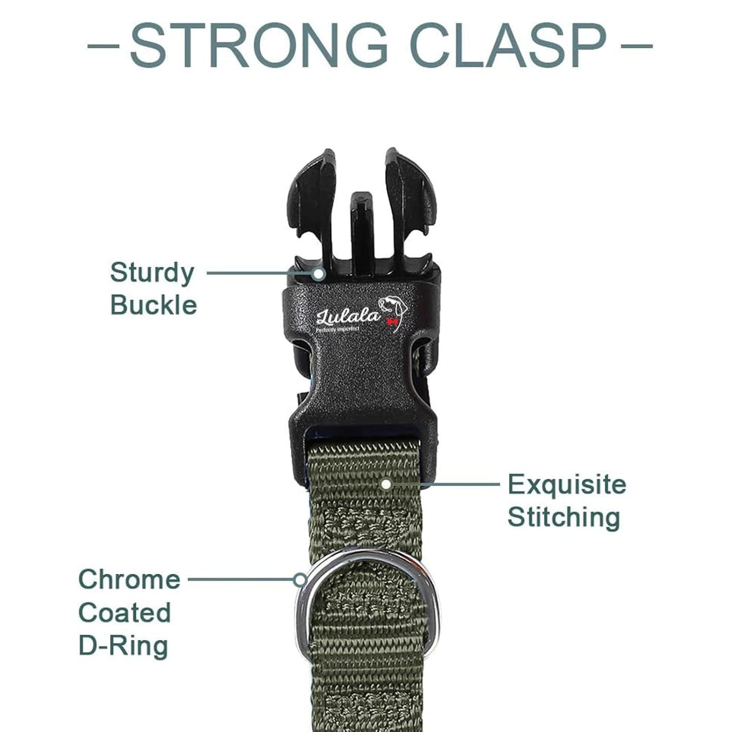 Adjustable Dog Collar and Leash Set