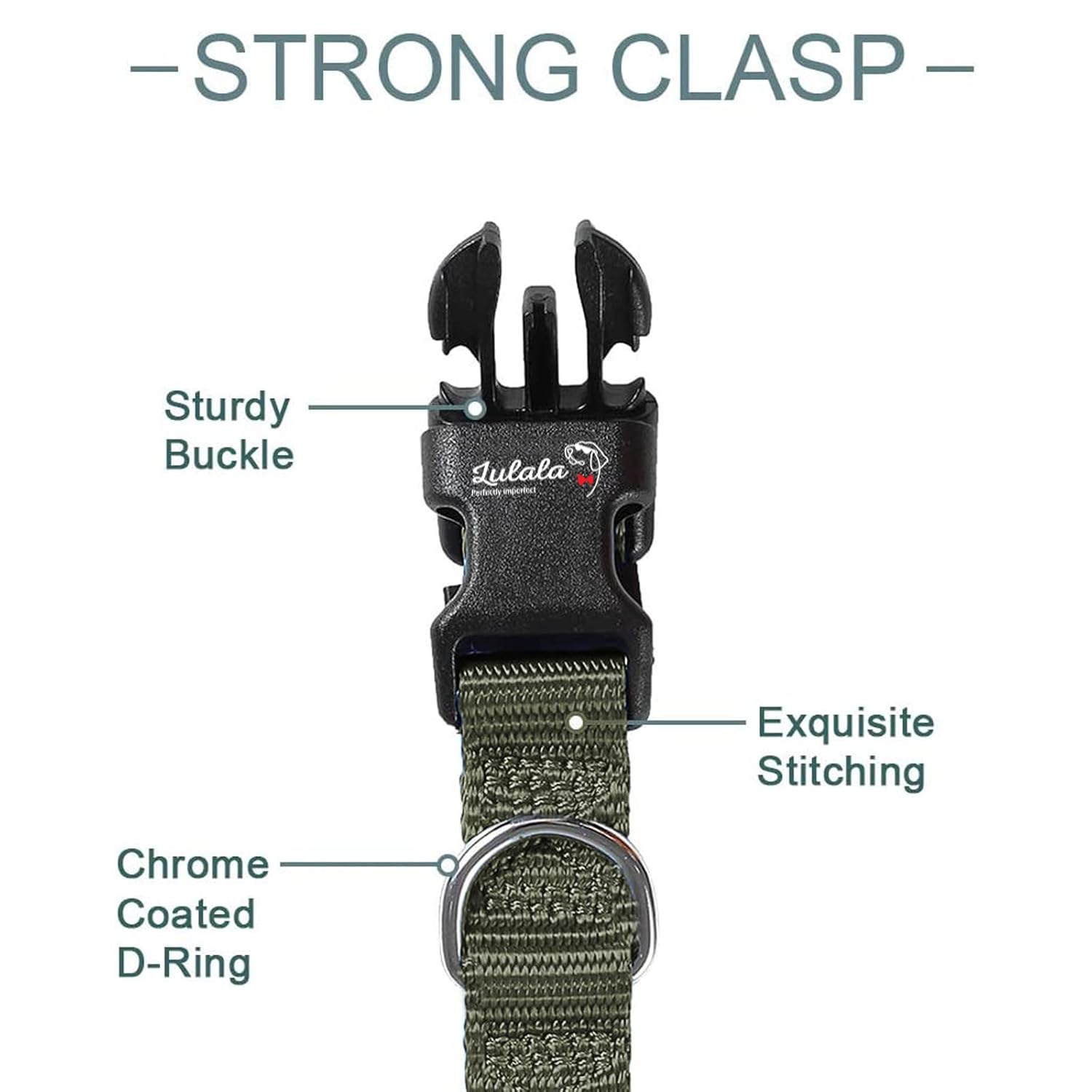 Adjustable Dog Collar and Leash Set