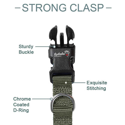 Adjustable Dog Collar and Leash Set