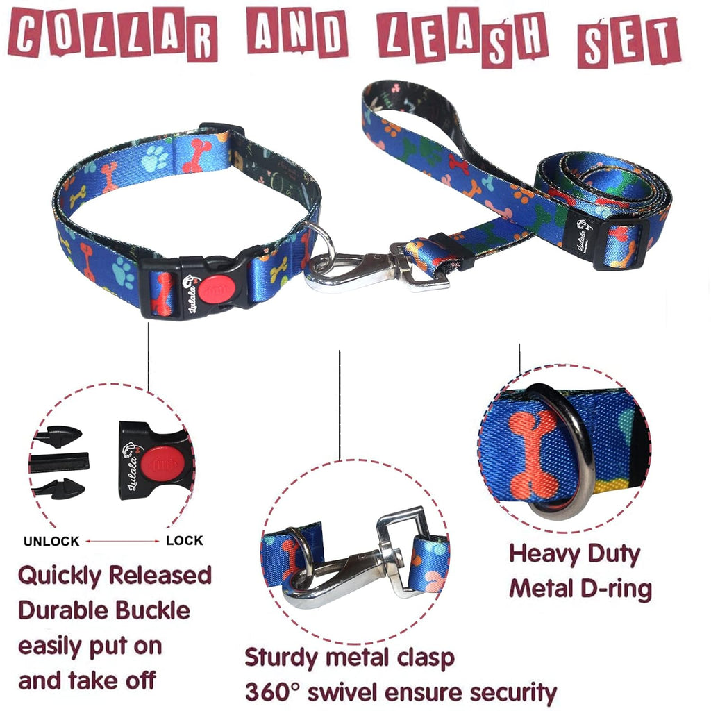 Dog Collar, Leash and Waist Belt Set
